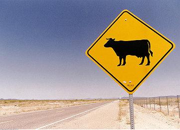 《夏日重现》游戏菱形朱鹭子角色PV 明年1月26日发售